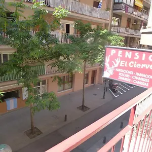 Guest house El Ciervo, Lloret de Mar